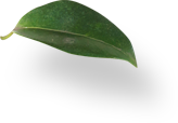 Путь к фигуре мечты с ARAVIA Organic