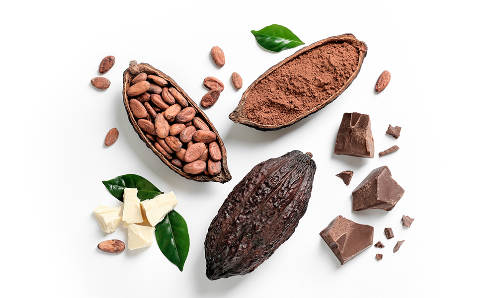 Шоколад (какао)
