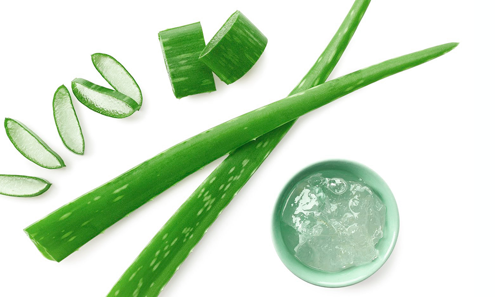 Алоэ