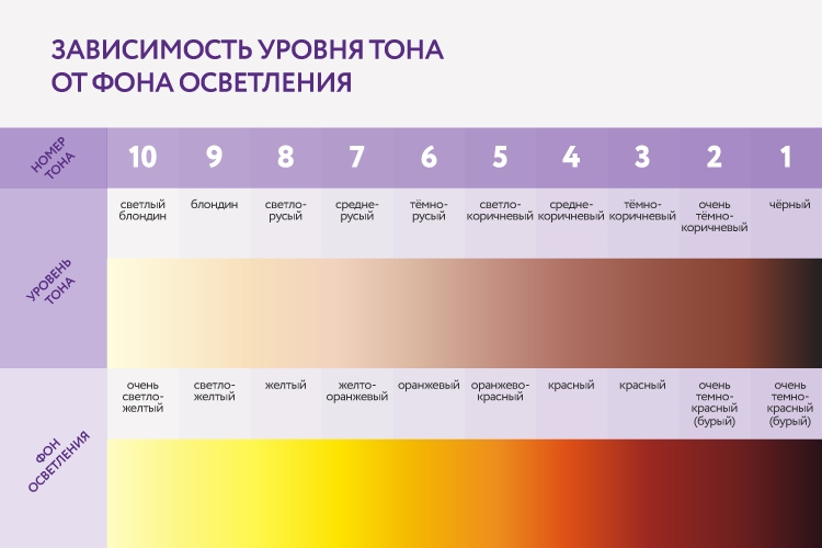 02.jpg 02.jpg