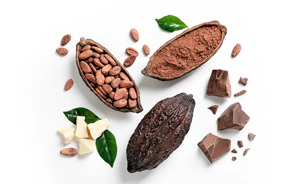 Шоколад (какао)