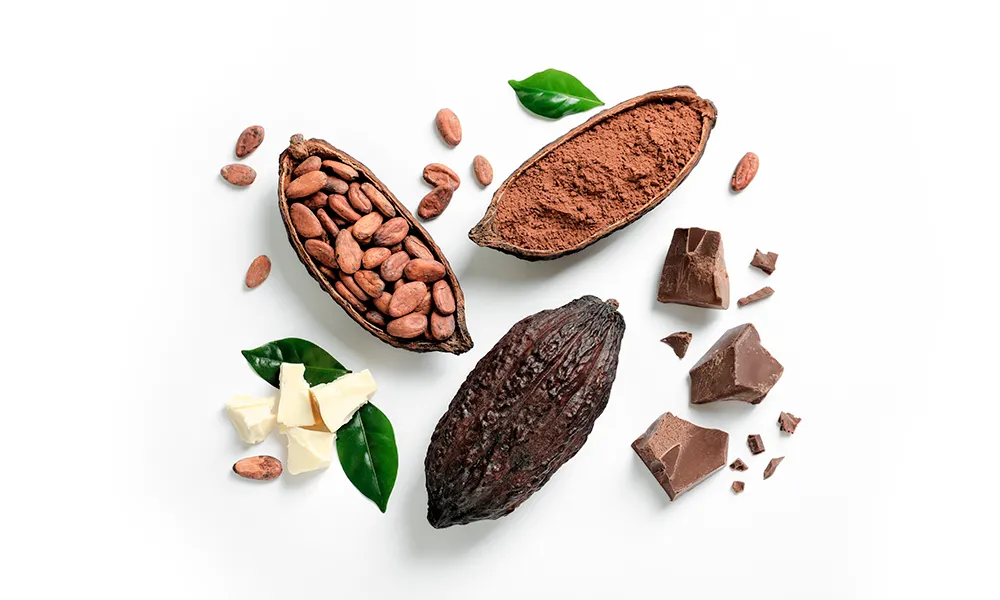 Масло какао